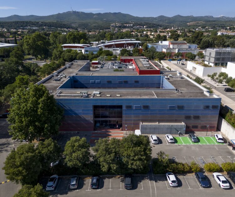 François Moura / MAMP